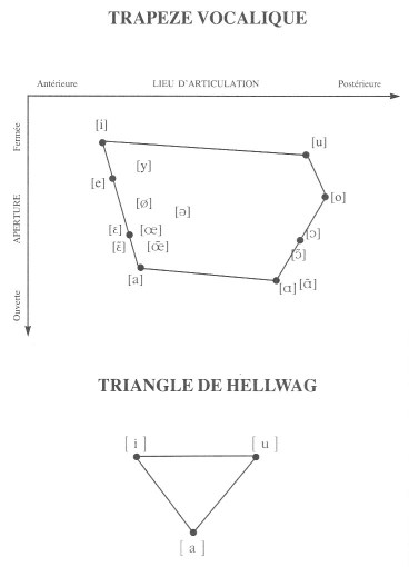 Trapèze vocalique